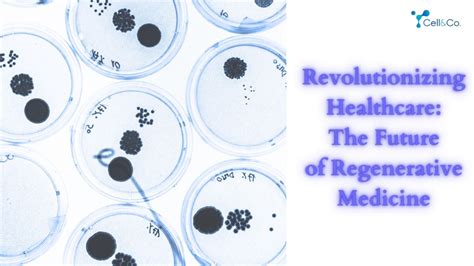  Vektorpolymerer - Revolutionerar de framtida Implantat och Regenerativa Terapier?